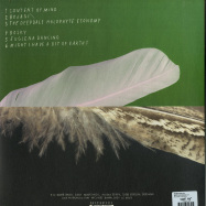 Back View : Robin Saville - BUILD A DIORAMA (LP) - Morr Music / morr172-lp