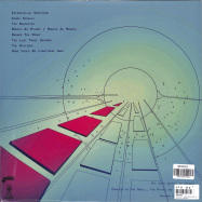 Back View : Voronoi - THE LAST THREE SECONDS (LP + MP3) - Small Pond / SPR242LP