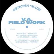 Back View : Various Artists - FIELD WORK - Between Fields / BTWF002