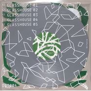 Back View : Dyl - GLASSHOUSE (ASH GREY VINYL) - Detach / DET 004