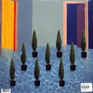 Back View : Memory Of Jane - UNSINKING THE CYPRESS (LP) - Blue Flowers Music / BFMLP004V
