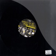 Back View : Various Artists - WHAT IS ON YOUR MIND - InDeep n Dance / Indeep003ltd