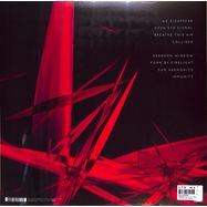 Back View : Jon Hopkins - IMMUNITY (2X12 LP + MP3) - Domino Records / wiglp298