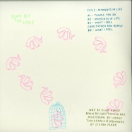 Back View : Saile - MOMENTS IN LIFE (CHRISTOPHER RAU REMIX)(VINYL ONLY) - Down by The Lake / Down by the Lake 03