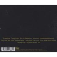 Back View : Arctic Monkeys - FAVOURITE WORST NIGHTMARE (CD) - Domino Records / WIGCD188S