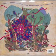 Back View : Richard Dawson - THE RUBY CORD (2LP+MP3) - Domino Records / WEIRD149LP