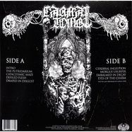 Back View : Carnal Tomb - EMBALMED IN DECAY (TRANS-LIME / BLACK MARBLED VINYL) (LP) - Testimony Records / TR 033LPC-1