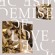 Back View : Demise Of Love - DEMISE OF LOVE (10INCH+MP3) - DOMINO RECORDS / RUG1466T
