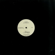 Front View : Nu Zau - MULT ASTEPTATUL (2X12 INCH, VINYL ONLY) - Castanea Records / CST003