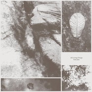 Front View : Jiha Park - ALL LIVING THINGS (LP) - GLITTERBEAT - INDIGO / 05266721