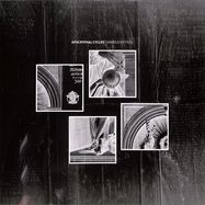 coy-80
