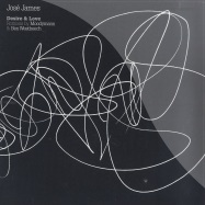 Front View : Jose James - DESIRE ( MOODYMANN RMX) - Brownswood / BW034