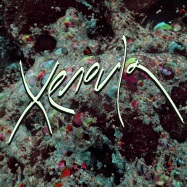 Front View : Xenoula - XENOULA (LP, 180 G VINYL+MP3) - Domino Records / WEIRD058LP