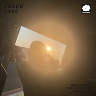 Front View : Treen - KAIKO (LP) - Sauajazz / 709006076045