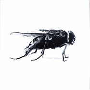 Front View : Raise, Sgt. &Risk - SPORT10000 - Sport / Sport10000