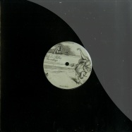 Front View : Maricopa - THE POSSIBILITY OF AN ISLAND (10 INCH) - Fools & Fables / FF001