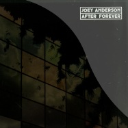 Front View : Joey Anderson - AFTER FOREVER (2LP) - Dekmantel / DKMNTL 017