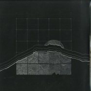 Front View : Haring - IN SPACES (LP) - City Tracks / CTS002
