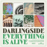 Front View : Darlingside - EVERYTHING IS ALIVE (LP) - More Doug Records / MDR51