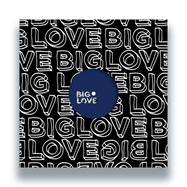 Front View : Seamus Haji / Gledd / Osner Featuring Mike Dunn & Kathy Brown - A TOUCH OF LOVE EP8 - Big Love / BL164V
