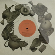 Front View : Soft Rocks - WE HUNT BUFFALO NOW (ANDREW WEATHERALL REMIX) - ESP Institute / ESP007A