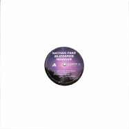 Front View : Nathan Fake - BLIZZARDS (REMIXES) - Cambria Instruments / CAMBRIA07