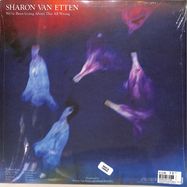 Front View : Sharon Van Etten - WE VE BEEN GOING ABOUT THIS ALL WRONG (LP) - Jagjaguwar / JAG395LP / 00152118