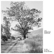Front View : Los Gigantes Dormidos - LOS JARDINES DE MIS ABUELOS (LP) - Akuphone / AKULP1047