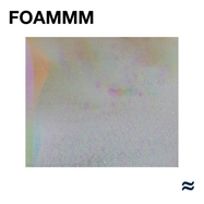 Front View : Foammm - FOAMMM (LP) - Sheep Chase Records / 704188099756
