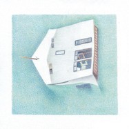 Front View : Danny Scott Lane - HOUSE OF ALICE (LP) - Records We Release Records / RWR03LP