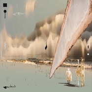 Front View : Taroug - CHOTT (LP) - DENOVALI / LPDENX400