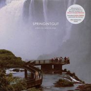 Front View : Springintgut - WHERE WE NEED NO MAP (LP) - Pingipung / Pingipung 37 LP
