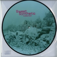 Front View : Various Artists - SWEET SYNTHETIC COLLECTION (PICTURE DISC) - TE Records / TEREC029