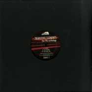 Front View : Transitive Elements - THE 90S ANTHOLOGY (VINYL 1) - Down Da Mountains / DDMNT02-FX1