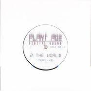 Front View : Terekke - 2 THE WORLD / FANDN (7 INCH) - Plant Age Digital Sound / DIGI 001