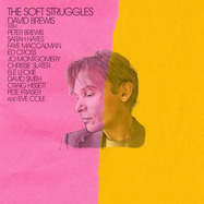 Front View : David Brewis - THE SOFT STRUGGLES (LP) - Daylight Saving / 05242511