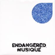 Front View : Enrico Mantini - FORGOTTEN TRAX - Endangered Musique / EM004