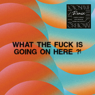 Front View : Cesare Cremonini - Elisa - WHAT THE FUCK IS GOING ON HERE ?! NONOSTANTE TUTTO  REMIX EP - Mondo Groove / MGMS19