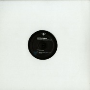 Front View : Extrawelt - RAUM IN RAUM EP - Cocoon / COR12095