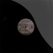 Front View : Amir Alexander - THE LAST BEYOND! EP - Plan B Records / pbr036