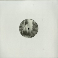 Front View : Lewis Fautzi / Eric Fetcher / Reeko / Shifted - UNKNOWN LANDSCAPES SELECTED 06 - PoleGroup / POLEGROUP055