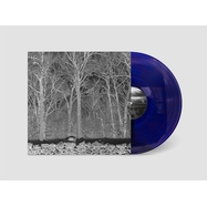 Front View : Pile - SUNSHINE AND BALANCE BEAMS (TRANSPARENT PURPLE LP) - Sooper Records / 00170238