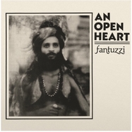 Front View : Fantuzzi - AN OPEN HEART (LP) - DIFFERENT STROKES FOR DIFFEREN / DSDF2