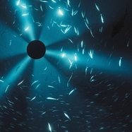 Front View : Laurel Halo / Ost - MIDNIGHT ZONE (CD) - AWE / AWE003CD / 05286172