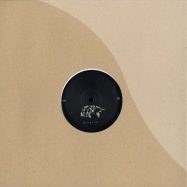 Front View : Scott Ferguson - WALDEN PONDS EP - Deep Vibes / DVR002