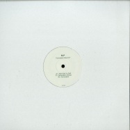 Front View : M.P - CONCEALED VIEW EP (VINYL ONLY) - Bass Culture Limited / BCLTD004
