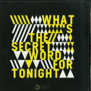 Front View : Joe Metzenmacher - WHATS THE SECRET WORD FOR TONIGHT EP - Heideton Records / HR017