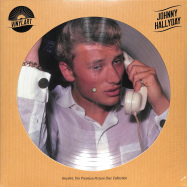 Front View : Johnny Hallyday - VINYLART - THE PREMIUM PICTURE DISC COLLECTION (PIC LP) - Wagram / 05195151