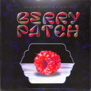 Front View : Machinedrum & Holly - BERRY PATCH (BLUE MARBLED VINYL + MP3) - Vision Recordings / VSN055RP
