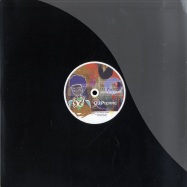 Front View : DJ Pierre - STRESS OR JUSTICE - Afro Acid Plastik / aap003